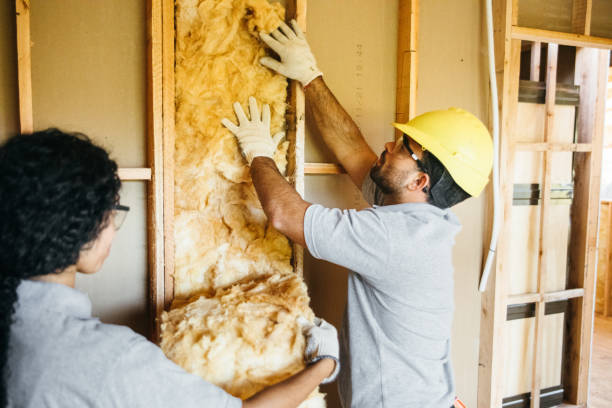 Trusted Elmo, TX Insulation Experts